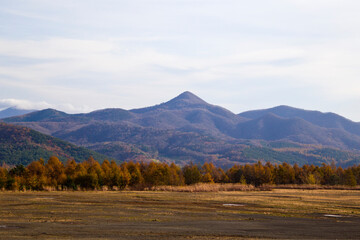 Colorful leaves in Hachimantai mountain ranges, Iwate prefecture, Tohoku, Japan.