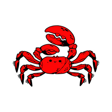 red crab illustration transparent