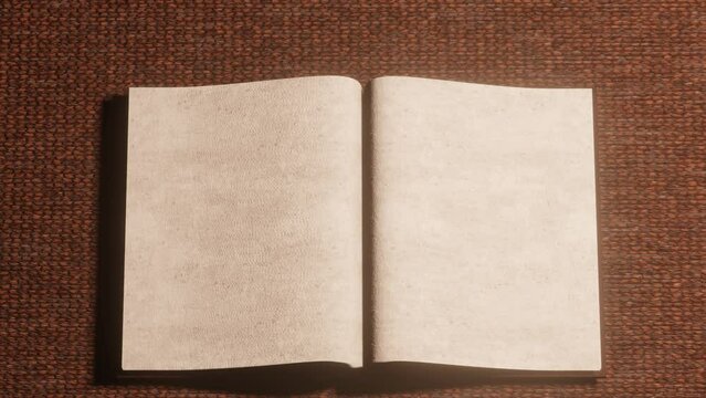Open vintage book animation with blank pages for your idea. You would fill some pages as you works.