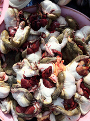 Group of frogs was eviscerated in a tray at the market , Frog die for sale to consumers , Good meat from amphibians	