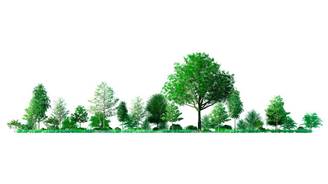 3D Forest and Green trees isolated on PNGs transparent background , Use for visualization in architectural design or garden decorate	
