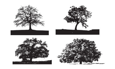 Fototapeta premium Detailed tree silhouettes , Set of silhouettes of dry bare trees. Isolated objects, vector illustration, Vector silhouette of tree on white background.
