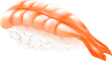 Set of sushi japanese traditional food PNG