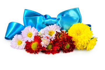 Autumn flowers with a bow on a white background
