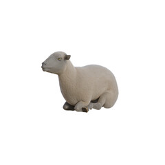 Sheep photorealistic in different poses on transparent background. 3D rendering illustration.