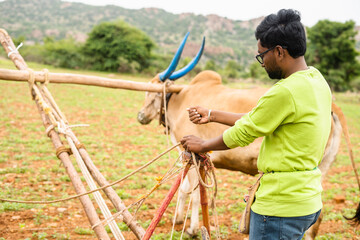 modern Indian young man trying ploughing or traditional farming at agricultural field - concept of agriculture, leisure weekend activities and village lifestyle.