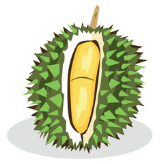 Collection of durian fruit vector illustration For use in design, website