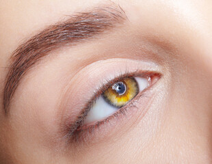 Fototapeta na wymiar Closeup macro shot of human female eye with nude makeup.