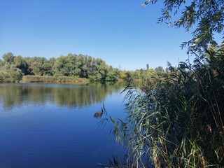 Old lake on the edge of a residential area in the city