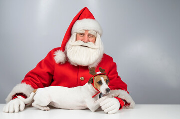 Portrait of santa claus and dog jack russell terrier in rudolf reindeer ears on a white background. 