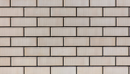 White brick wall as background.