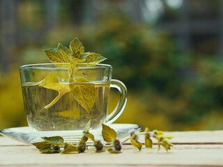 Medicinal herbal tea in a glass cup with mint leaves on a natural background.