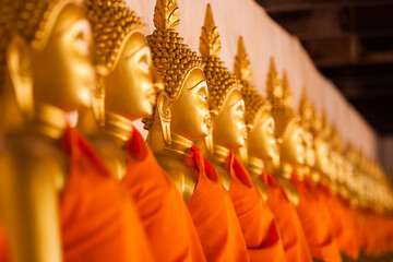 Row of Golden Buddha in Thailand (Bangkok, Thailand)