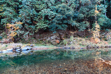 埼玉県嵐山渓谷の景色