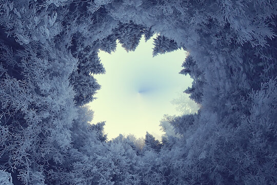 forest tunnel small planet abstract landscape background