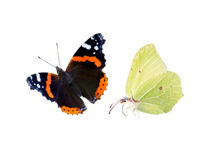 Common brimstone and red admiral butterflies isolated transparent png. Gonepteryx rhamni and Vanessa atalanta.