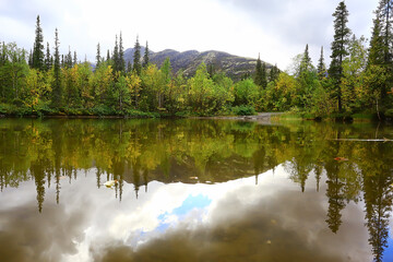 Fototapeta premium autumn taiga forest landscape, nature view fall in the mountains