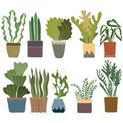 Hand drawn houseplant collection set in doodle art style on white background