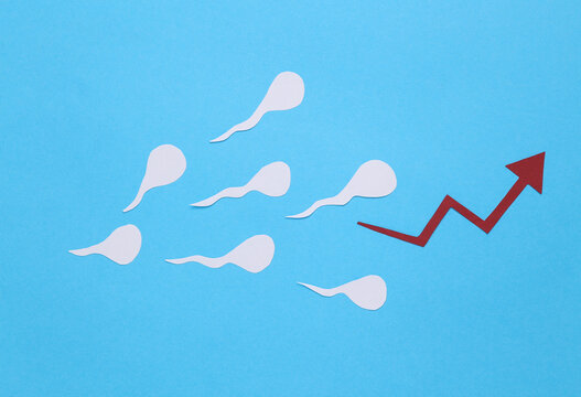 Spermatozoa With A Growth Arrow On A Blue Background. Level Of Male Hormones, Reproductive Function