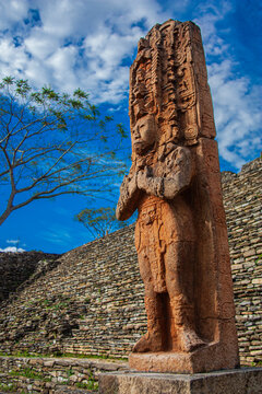 Rey Zots Choj Muan: Escultura Estela maya en Tonina, Ocosingo, Chiapas, M&eacute;xico.