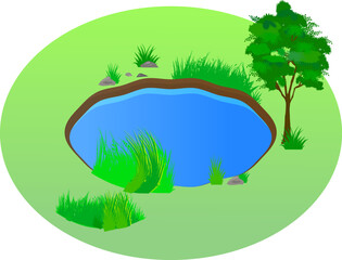 Obraz premium 森の中の湖の風景