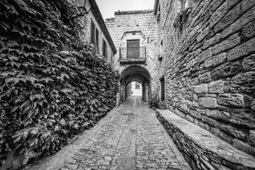 Fototapeta premium Alley with old stone houses and arch-shaped passageway at the end of the tunnel, Peratallada, Girona.