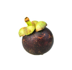 Mangosteen