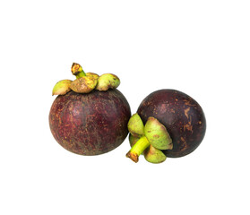 Mangosteen
