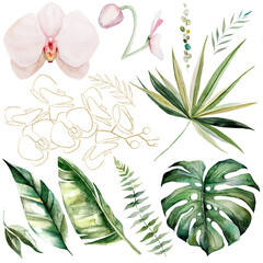 Watercolor tropical leaves and flowers isolated, summer wedding illustration elements
