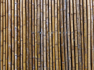 Full Frame Dry Brown Bamboo Sticks Wall