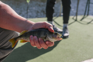 Man holding big caught fish