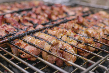 Delicious meat cooked in a grill over burning coals