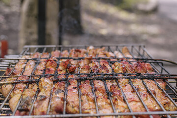 Delicious meat cooked in a grill over burning coals