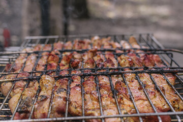 Delicious meat cooked in a grill over burning coals