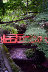 京都大原三千院・津川の赤い橋