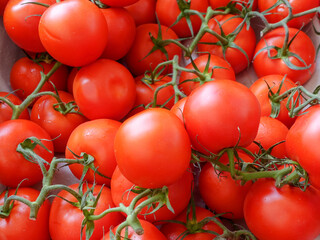 Fresh cherry tomatoes on black background