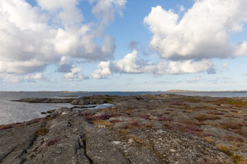 Ocean view of bare rocks and heather in coastal flat landscape. Clouds in the sky on summer day