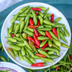 Fresh Green and Red Chilli Spicy plants