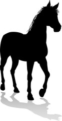 Obraz premium Horse Animal Silhouette