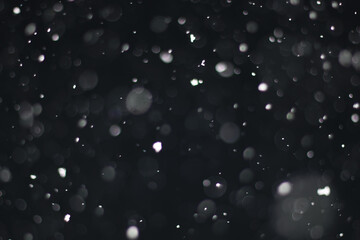 Snow on a black background. Snowflakes for overlay. Snow background.