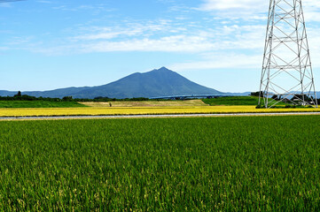 田んぼと山（筑波山）