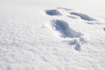 Obraz premium The texture of the snow. Winter rainfall. Tracks on a snowy road after a snowfall.