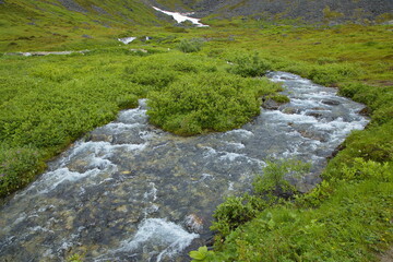 East Fork Fishhook Creek on Hatcher Pass near Palmer in Alaska, United States,North America
