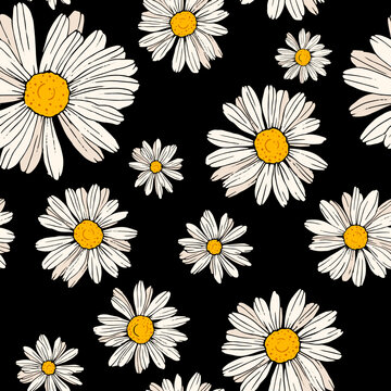 Seamless chamomile flower.Floral pattern for printing. Vector pattern