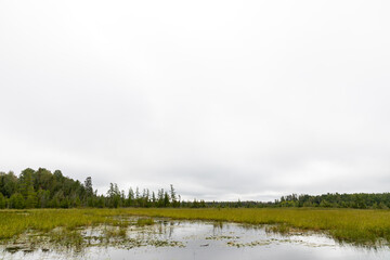 Lake Scene with Trees for Magazine Newsletter or Advertising Layout