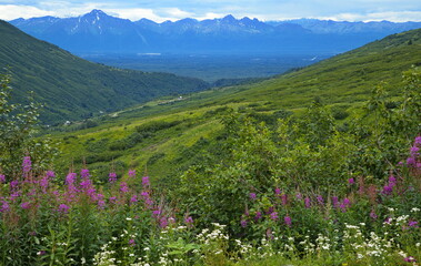 Landscape at Hatcher Pass near Palmer in Alaska, United States,North America
