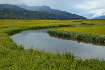 Landscape in Potter Marsh Bird Sanctuary at Anchorage in Alaska, United States,North America
