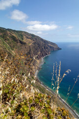 Fototapeta premium view from the sea