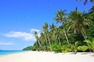 Puka Shell Beach, Boracay Island, Philippine