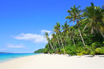 Puka Shell Beach, Boracay Island, Philippine